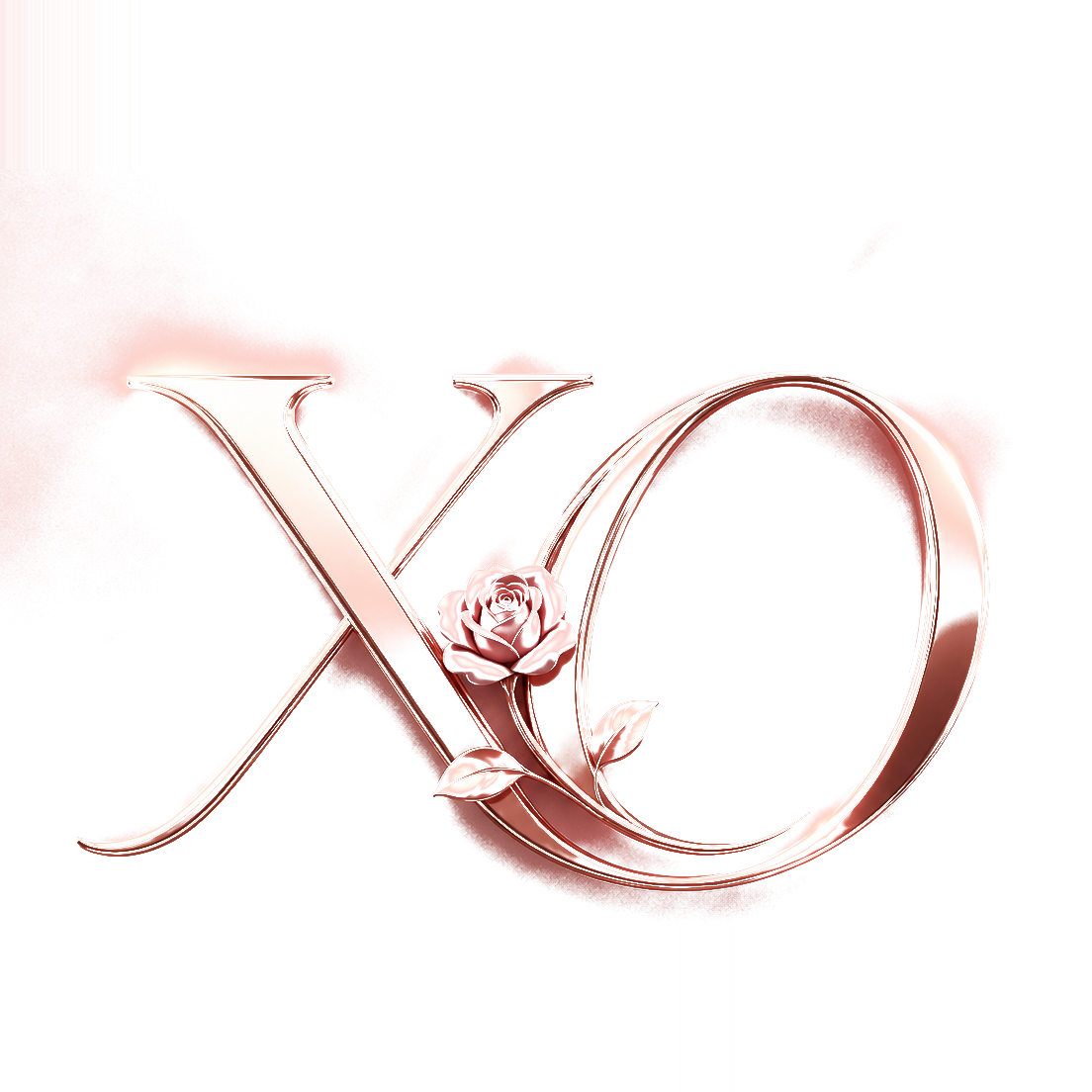 X.o.la Beauty — gallery